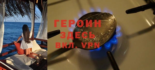 шишки Белокуриха