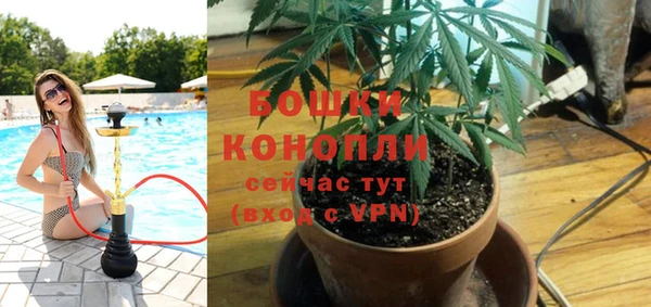 гидра Баксан