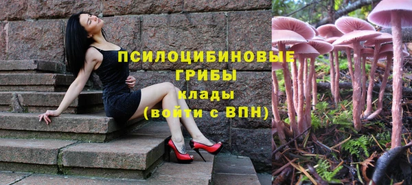 Альфа ПВП Балахна
