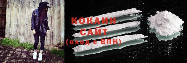 шишки Богданович